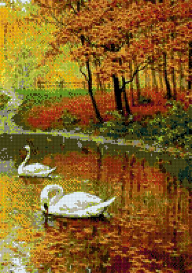 лебеди - осень, природа, лебеди, пейзаж - предпросмотр