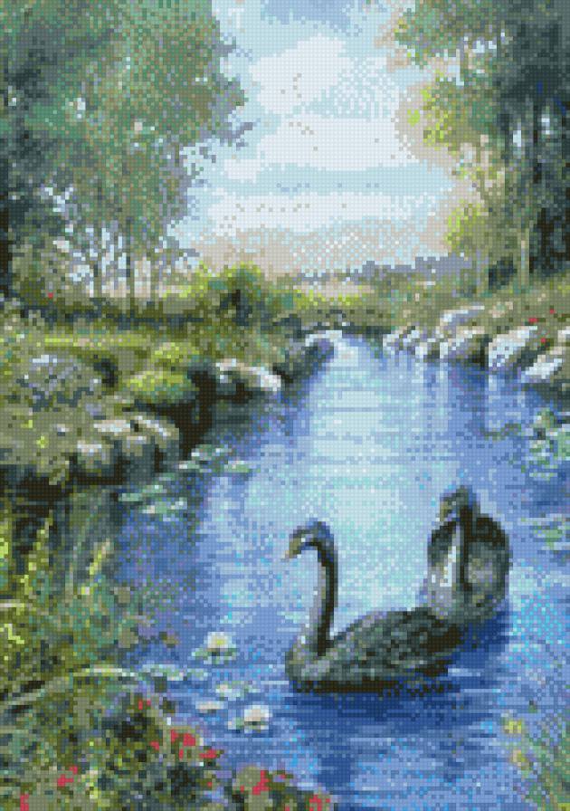 лебеди - лето, лебеди, природа, пейзаж - предпросмотр