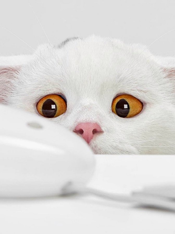 Снежок - оригинал