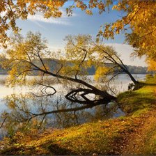 Схема вышивки «№802094»