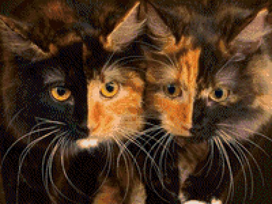 Братья из ларца - предпросмотр