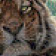 Предпросмотр схемы вышивки «Тигры» (№802298)