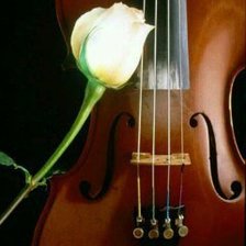 Оригинал схемы вышивки «скрипка и роза» (№802341)