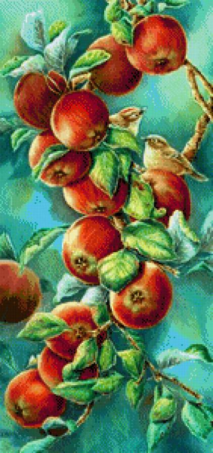 №802426 - предпросмотр