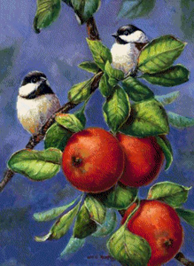 №802438 - предпросмотр