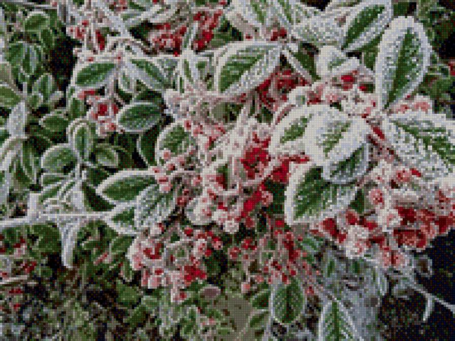 Нежная седина - предпросмотр