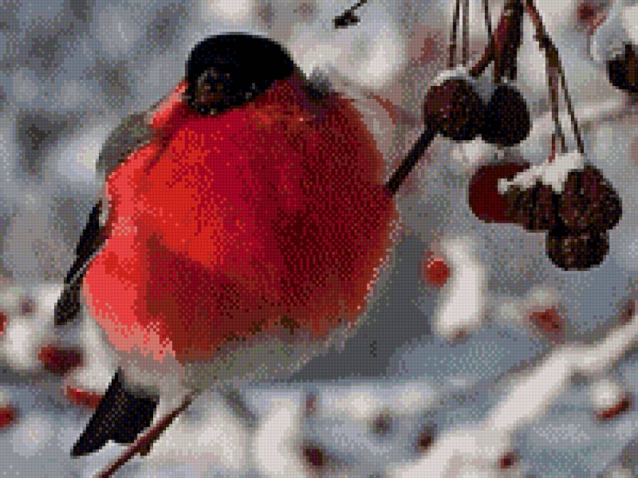 Зима - предпросмотр