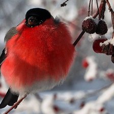 Схема вышивки «Зима»