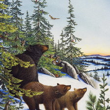 Оригинал схемы вышивки «Медведи.» (№803027)