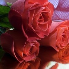 Схема вышивки «Красота»