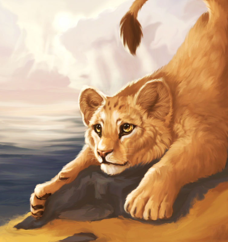 львенок - картина, кошки, львы, хищники, животные, лев - оригинал