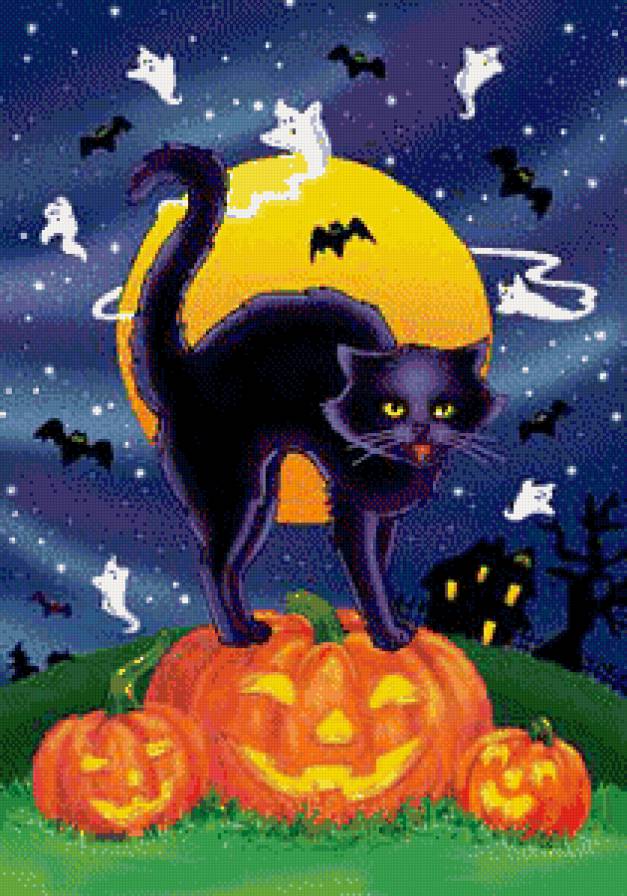 хеллоуин - кошки, животные, тыква, кошка, осень - предпросмотр