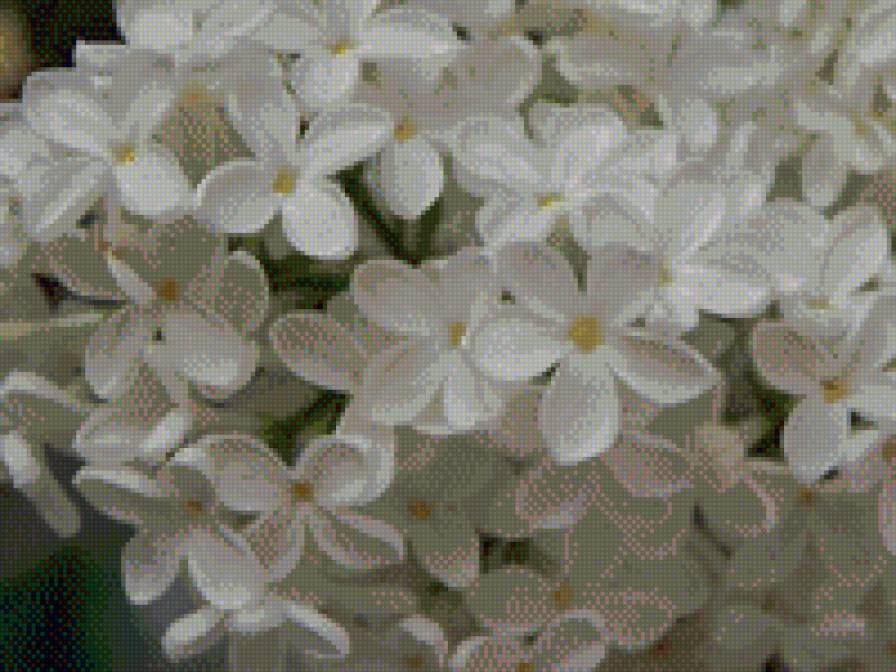 №803375 - предпросмотр