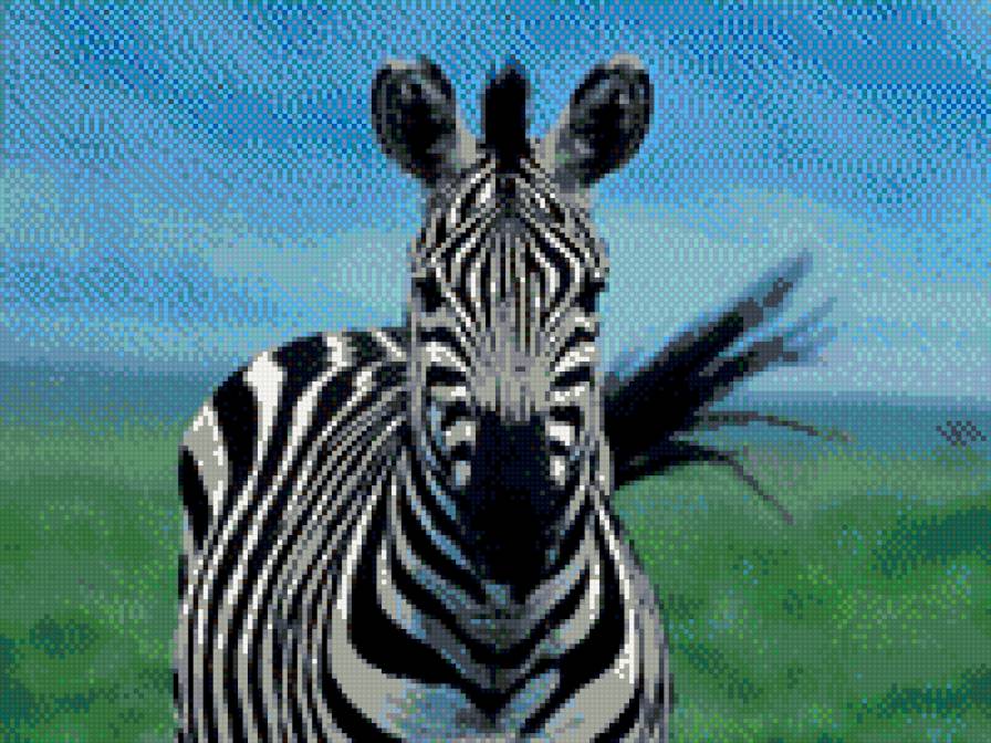 Одиночество в полосочку - предпросмотр