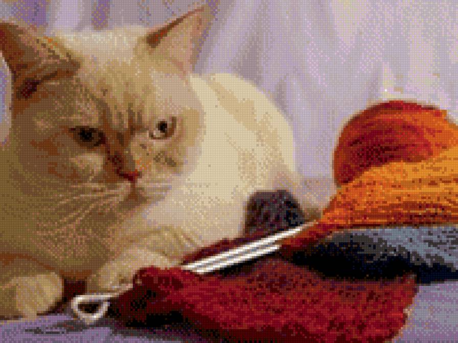вот дойду ряд и прийду!!!!! - нитки, клубок, животные, рукоделие, кот - предпросмотр