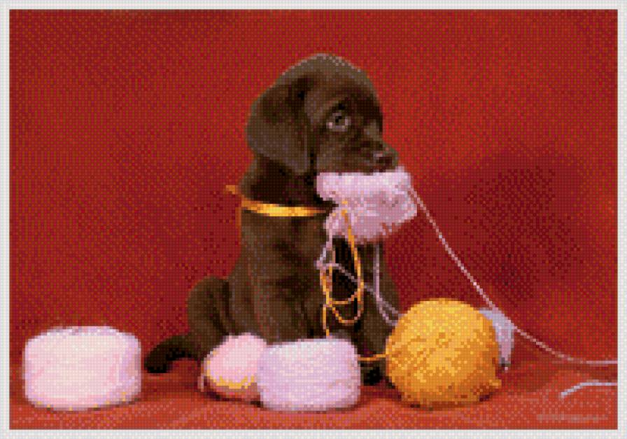 собачка - рукоделие, нить, клубок, собачка, животные - предпросмотр