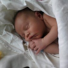 Схема вышивки «Максимочка»