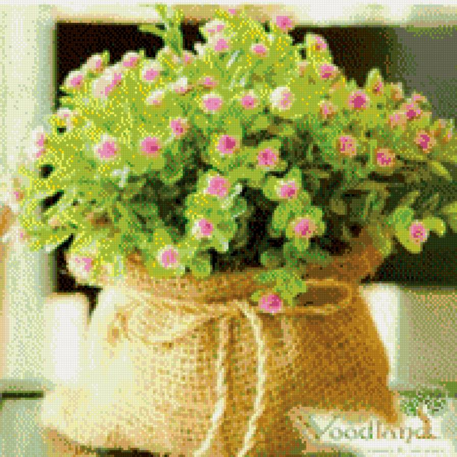 букет - цветы, букет - предпросмотр