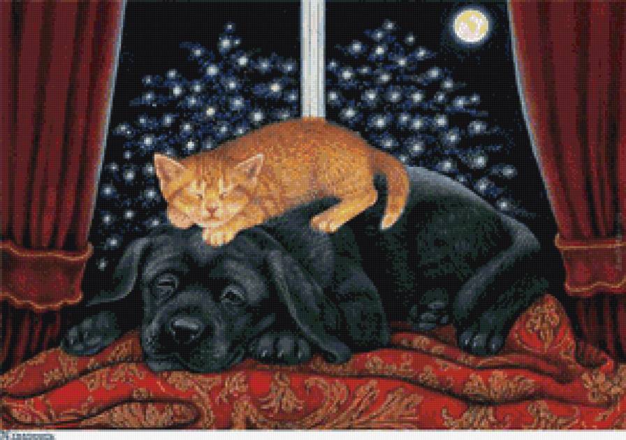 сладких снов - коты, собака, котики, животные, кот - предпросмотр