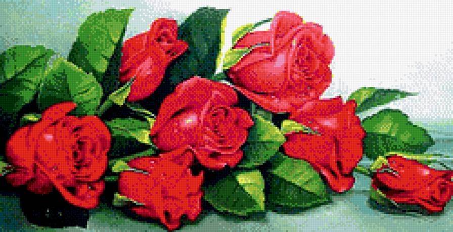 Розы красные - цветы, букет, розы - предпросмотр