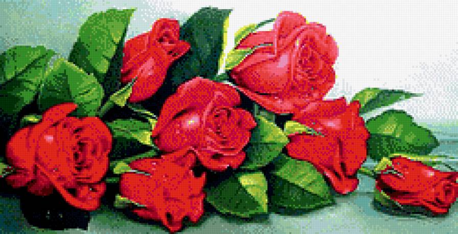 Розы красные - цветы, розы, букет - предпросмотр