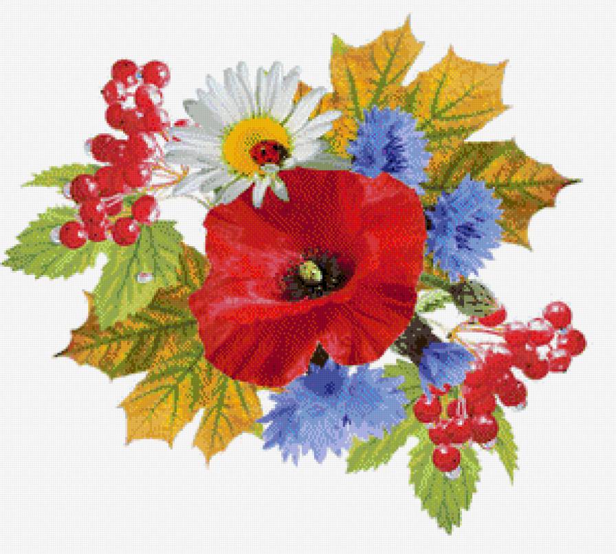 полевые цветы - калина, василек, мак, ромашка - предпросмотр