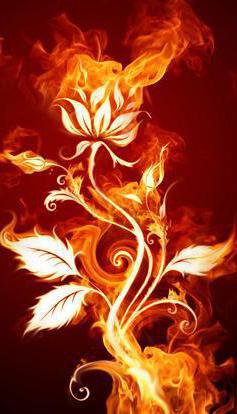 огненный цветок - оригинал