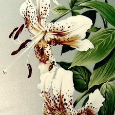 Схема вышивки «Лилии»