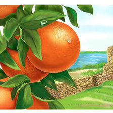 Оригинал схемы вышивки «апельсинки» (№804318)