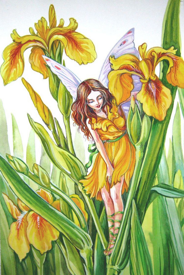 фея ирисов - феечки, ирисы, феи, фентези, ирис, феечка, цветы - оригинал