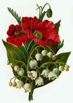 №804339 - оригинал