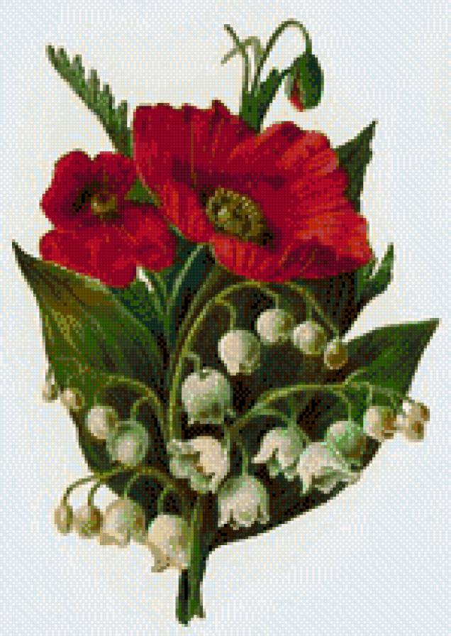 №804339 - предпросмотр