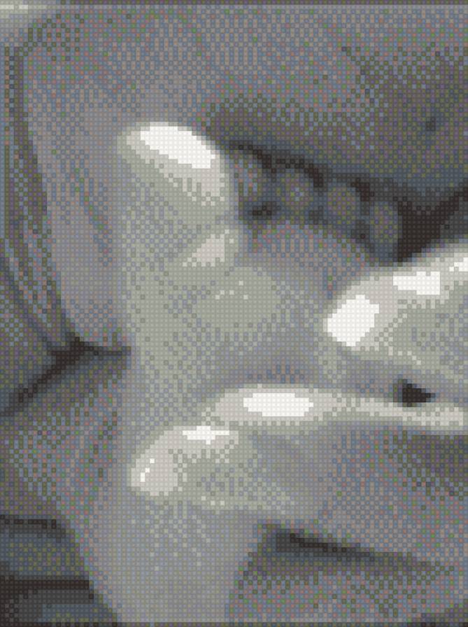 Ножка - ребенок, радость, ножка, черно-белое - предпросмотр