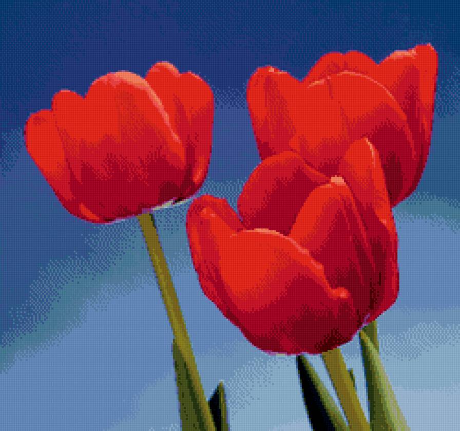 тюльпаны - предпросмотр