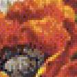 Предпросмотр схемы вышивки «серия "маки"» (№804806)