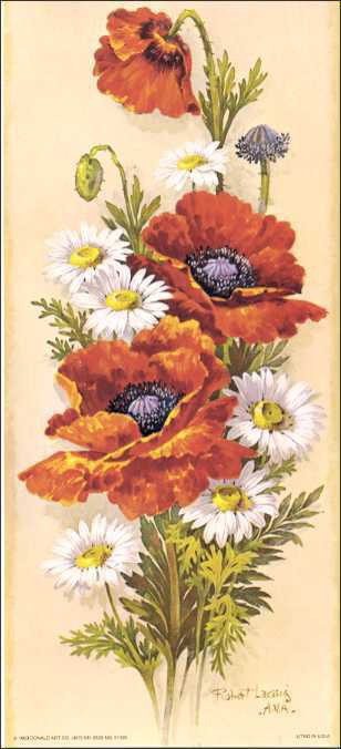 серия "маки" - букеты.цветы.маки.ромашки - оригинал
