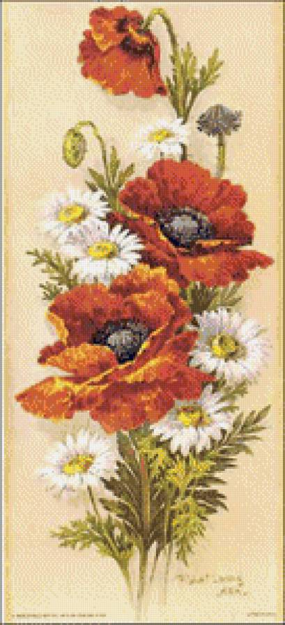 серия "маки" - букеты.цветы.маки.ромашки - предпросмотр