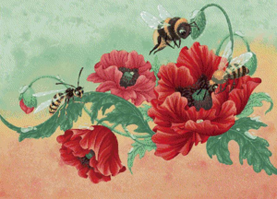серия "маки" - цветы.маки.оса.пчела.шмель - предпросмотр