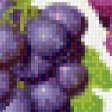 Предпросмотр схемы вышивки «Фрукты» (№805140)