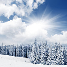 Схема вышивки «зимний лес»