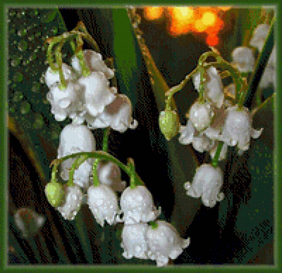 ландыши - ландыши, цветы, весна, капли - предпросмотр