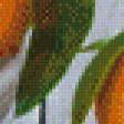 Предпросмотр схемы вышивки «Апельсинки» (№805369)