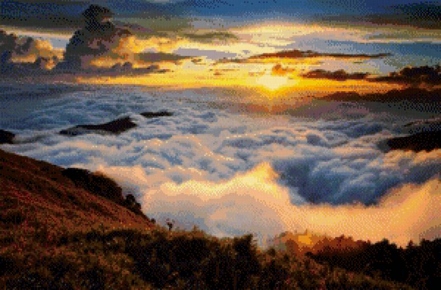 №805653 - предпросмотр