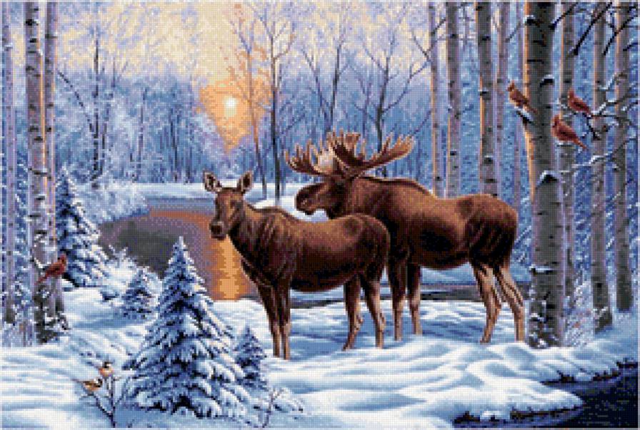 Пара. Зимняя заводь. - животные, пара, зимний пейзаж, лоси, зима, лось - предпросмотр