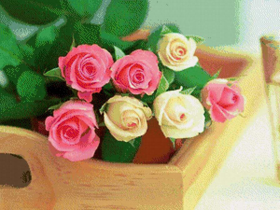 розы - розы - предпросмотр