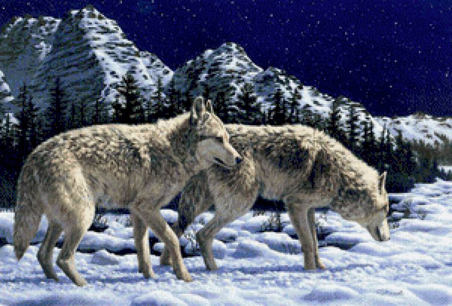 №805946 - предпросмотр