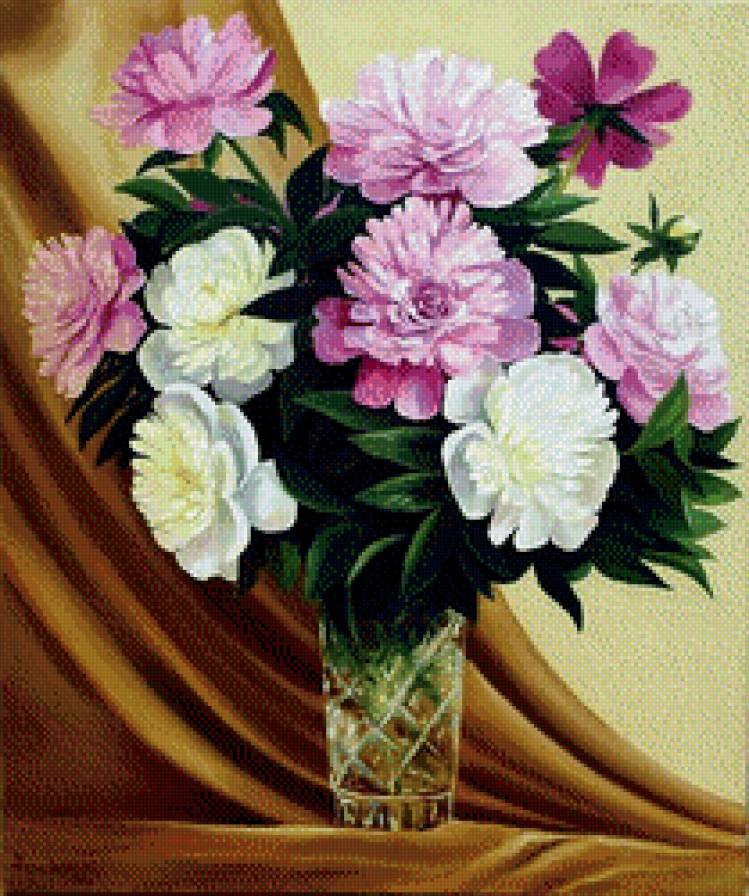 пионы - цветы, пионы, букеты цветов - предпросмотр