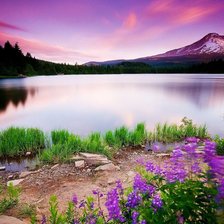 Схема вышивки «Пейзаж1»