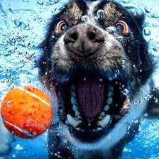 Схема вышивки «плавание»