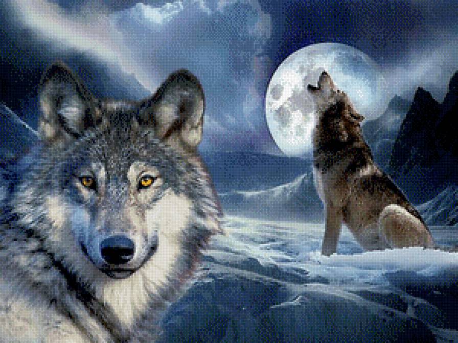 Волк - животные - предпросмотр